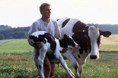 Algérie - Agriculture: Les vétérinaires veulent leur ordre