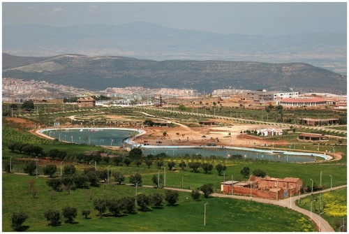 Tlemcen - Plateau de Lalla Setti: Un site naturel rongé par le béton