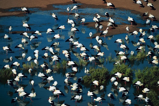 Bordj Omar Driss (Illizi) - Une association aux ambitions citoyennes