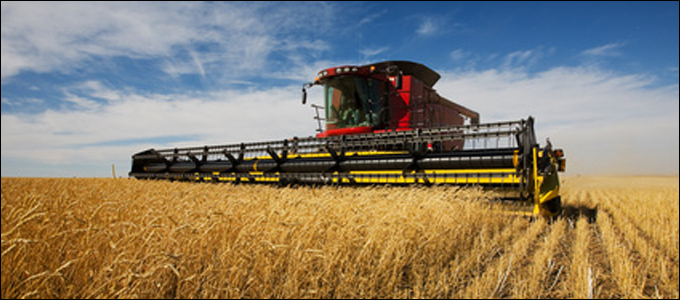 Aïn Abid érigé en pôle agroalimentaire