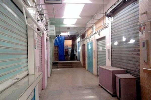 الجرذان تغزو مزارع وبساتين النخيل بالوادي