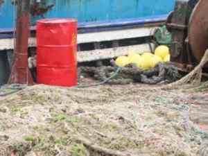 Mostaganem - Pêche: l'usage des filets pélagiques de nouveau mis à l'index