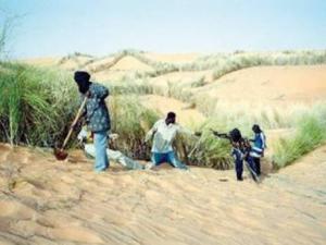 Transfert d'eau d'In Salah vers Tamanrasset: Une campagne de reboisement pour fêter ce méga-projet