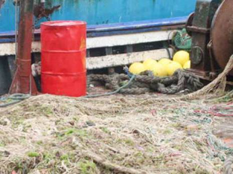 Mostaganem - Pêche: l'usage des filets pélagiques de nouveau mis à l'index