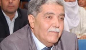 ميلود شرفي في تصريح للقناة الأولى: لولا التزوير لما بقيت الجزائر واقفة..!