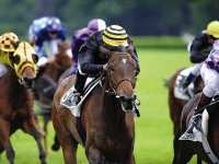 LA PREMIÈRE DU MEETING D'AUTOMNE
