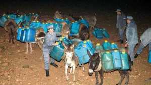 حجز 500 لتر من الوقود مُهّربة على ظهور الحمير في الطارف