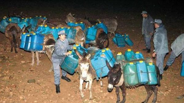 حجز 500 لتر من الوقود مُهّربة على ظهور الحمير في الطارف