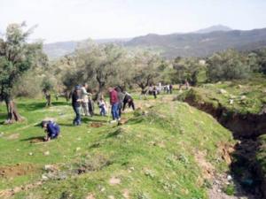 Wilaya de Tizi Ouzou - Campagne de reboisement pour stabiliser le sol