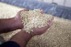 الحكومة تمنع تكرار سيناريو 