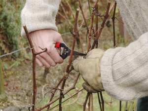 Formation professionnelle
