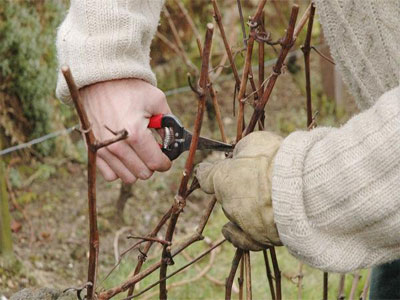 Formation professionnelle