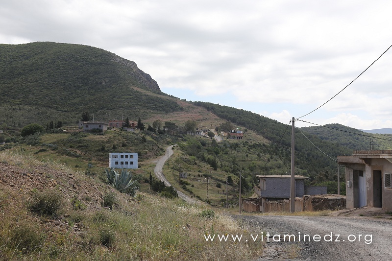 مدن وقرى ولاية تلمسان