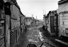 Plus de 300 familles bénéficient de lots ruraux