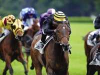 IRKHANE, UNE BELLE CHANCE