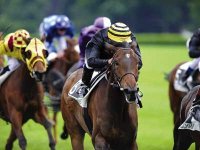 IRKHANE, UNE BELLE CHANCE