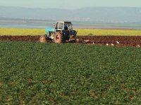 L'agriculture enregistre d'importants développements