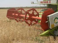 Baisse de la production céréalière à 34 millions de quintaux