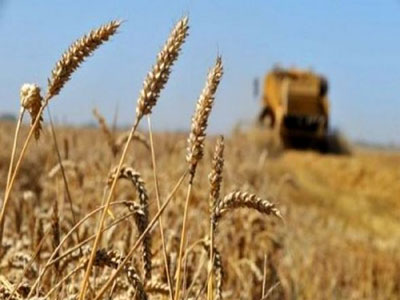 Durant la saison 2015-2016