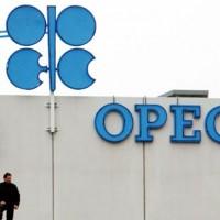 مرتاحون لبلوغ‮ أسعار النفط‮ 80‮ دولارا