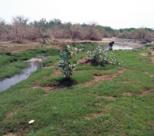 جبل الوحش يؤجج صراع الاستثمار