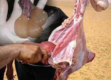 سكان زيغود يتوعدون برفض مركز الردم ويطالبون بفتح تحقيق