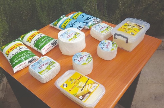 Entrée en exploitation d'une nouvelle laiterie à Sebdou