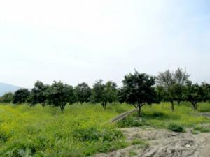 Les terres entre abandon et changement de vocation