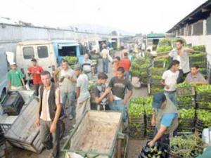 Aïn Témouchent : les mandataires des fruits et légumes en grève