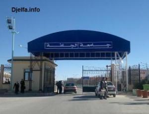 الأستاذ  علي شكري  مدير جامعة الجلفة ل الجلفة إنفو  : الانتقال إلى  الماستر  سيخضع إلى إجراءات صارمة ابتداء من السنة المقبلة... تخصصات جديدة ومساع لإنشاء محطة إذاعية خاصة بالجامعة