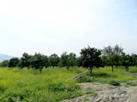 Les terres entre abandon et changement de vocation