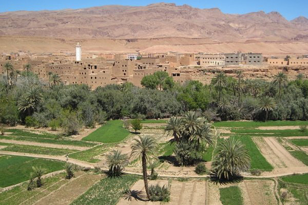 محيطات فلاحية غير مهيأة ومن دون كهرباء ولا مسالك بأدرار