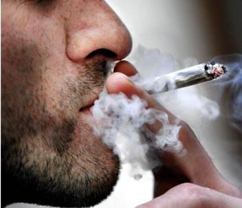 Les chiffres effarants de la drogue