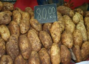 البطاطا بدل قوائم وصور المترشحين