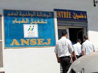 Le directeur de l'ANSEJ d'Oran l'affirme