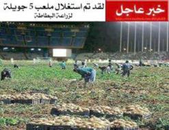 المطالبة باستغلال ملعب 5 جويلية لزراعة البطاطا