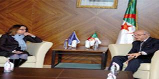 législatives: lancement officiel de la mission d'observation de l'UE