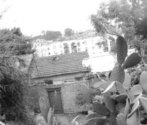 حي  السانتيف .. قرية نائية وحياة بدائية في قلب العاصمة