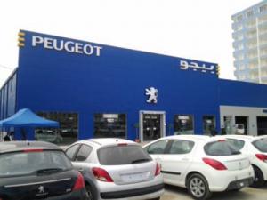 le lion, une «histoire d'amour»