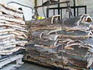 Les travailleurs exigent le départ du directeur