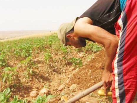L'agriculture subit les dégâts de la grêle
