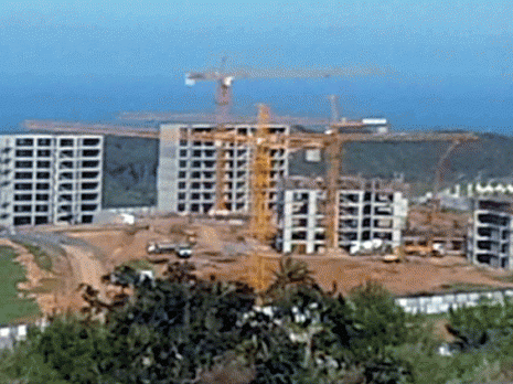 Des milliers d'hectares détournés de leur vocation