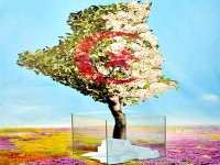 Radio-télévision : deux minutes et demie pour chaque liste indépendante (CNISEL)