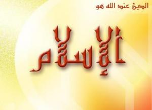 هل في سب الدين عذر بالجهل؟