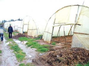 جرّاء الخسائر التي ألحقها بهم سوء الأحوال الجوية