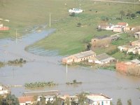 Plus de 4 milliards de DA pour l'indemnisation des fellah touchés par les intempéries (ministre)