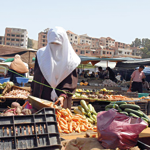 تساؤلات مطروحة عن دور نظام الضبط في استقرار السوق الوطني