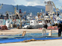 تجديد غرفة الصيد البحري لبومرداس وسط مخاوف المقاطعة من مهنيي القطاع