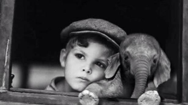 ماذا يعني أن تشعر أن أولادك يكرهونك؟