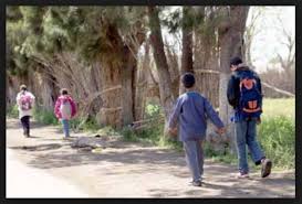 تعتبر العملية الأولى من نوعها بعين تموشنت